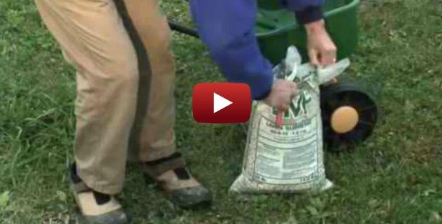 American Homes and Gardens Magazine, Fall Lawn Care Video, Garden.org